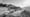 Liebherr