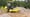Bomag