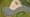 Neubau Quartier 452 in Norderstedt