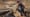 Stihl Timbersports Weltmeister 2018