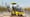 Bomag