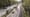 Wechselverkehrsführung