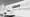 Junge