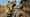 Offenes Flottenmanagement