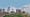 Symbiose im Bestand