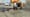 182-Kilogramm-Betonplatte verlegt