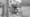 Viele Features