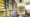 Strabag und Doka setzen auf BIM-to-Field