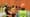 Trainer-Ausbildung