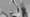 Filigran und dennoch kraftvoll