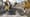 Vibrationsarme Arbeiten