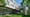 Spiel der Ornamente