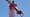 Neuer Topless-Turmdrehkran