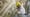 Kultursponsoring im Herzen Stuttgarts