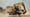Neue Caterpillar-Modelle der Typen M319 und M320