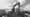 "Sanfter Gigant"
