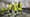 Engel Workwear