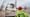 Brownfield-Entwicklung mit der Privatwirtschaft
