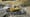 Liebherr-Modell PR 766 G8