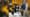 Agritechnica