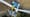 Stabil und stark im Wind
