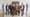 Initiative "Wertvolle Wand"