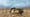 Hillhead-Show 2024