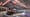 Ford Trucks-Fazit zur IAA