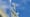 Starlink und 5G