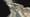 PIX4Dcatch