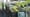 Sempergreen und Over Easy