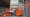 Neue Partnerschaft
