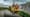 Das JCB-Modell des Typs 8008E CTS