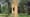 Holzindustrie