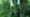 Effiziente Wärmeverteilung im Zoo