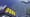 Porr