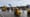 Volvo Days 2026