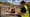 Zeppelin