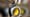 Predatore