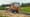 Hako Multicar M41 mit Citymaster 650 und Weco S350 Go