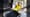 Wacker Neuson EZ50 Minibagger bei Baustelleninspektion auf der IFAT Messe in München.