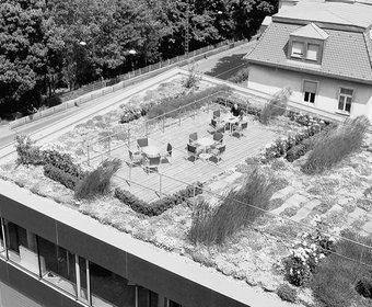 Optigrün Dachbegrünung Ökologisches Bauen