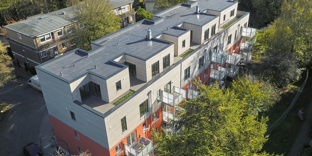 Nachhaltige Lebensräume auf den Dächern der Stadt schaffen