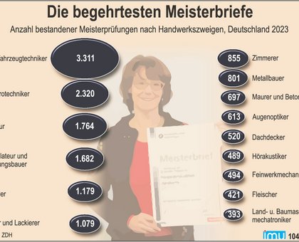 imu Infografik Sonstiges