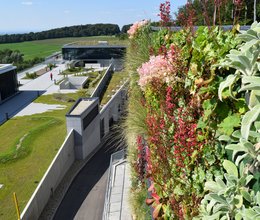 Marktreport Gebäudegrün 2024 im Gepäck