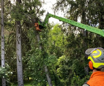 AST Arbeitssicherheit & Technik Teleskopstapler Arbeitsbühnen